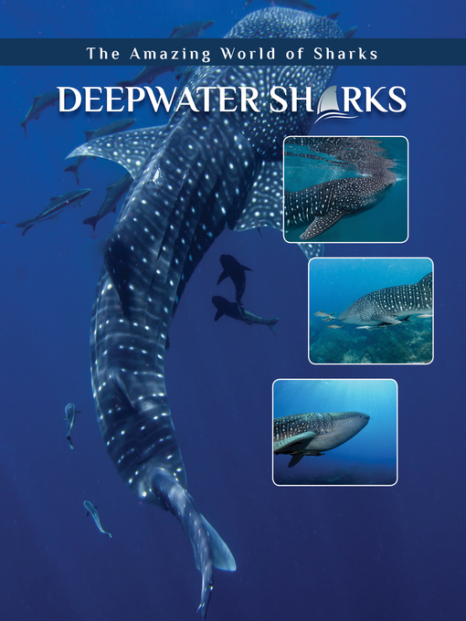 Title details for Deepwater Sharks by Joyce A. Hull - Available